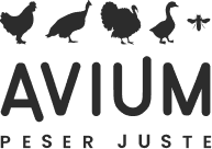 Avium